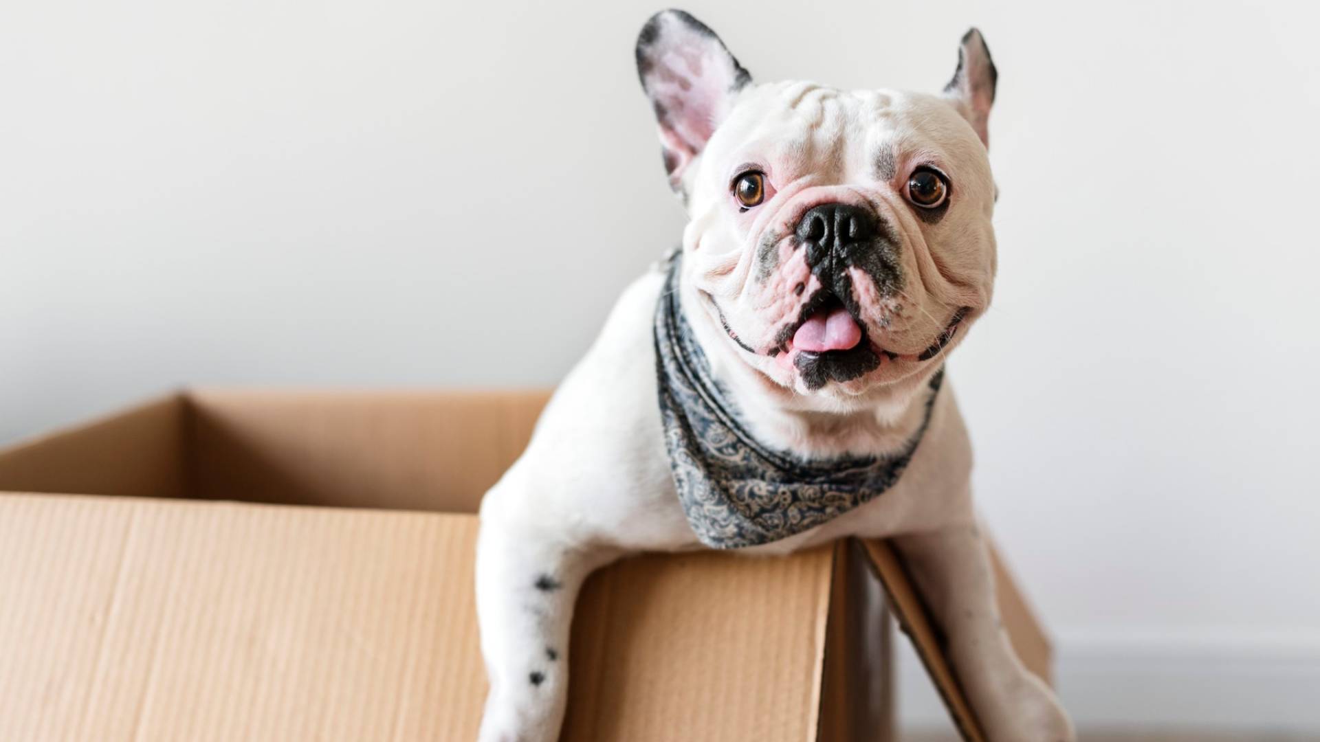 Hızlı ve Güvenli Teslimat