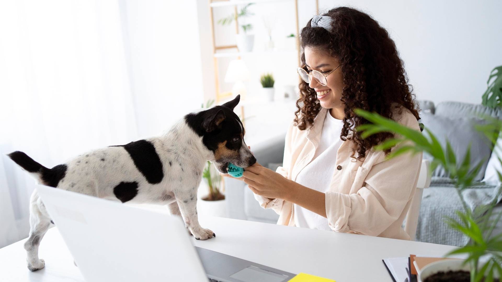 Sadakat Programı (Pati Puan)